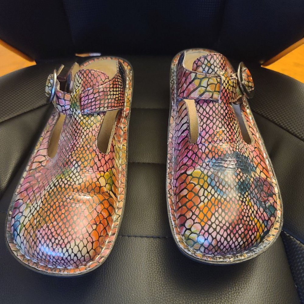 ALEGRIA CLOGS